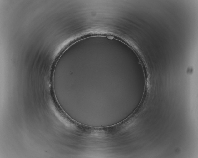X0000112530438200908311426