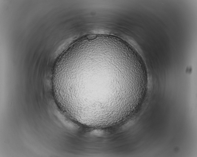 X0000112530441200908311426