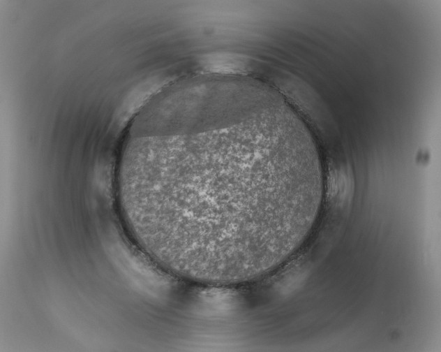 X0000112530444200908311426