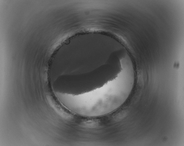 X0000112530447200908311426
