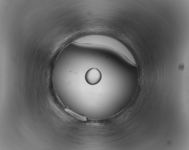X0000112530448200908311426