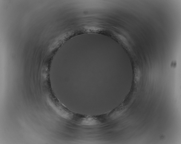 X0000112530451200908311426