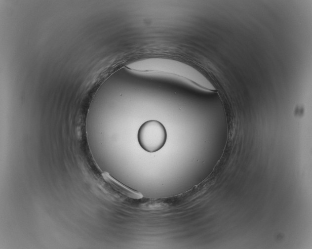 X0000112530452200908311426