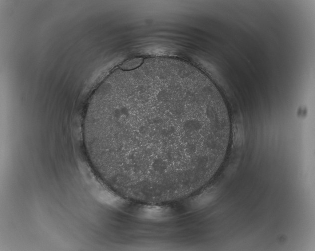 X0000112530453200908311426