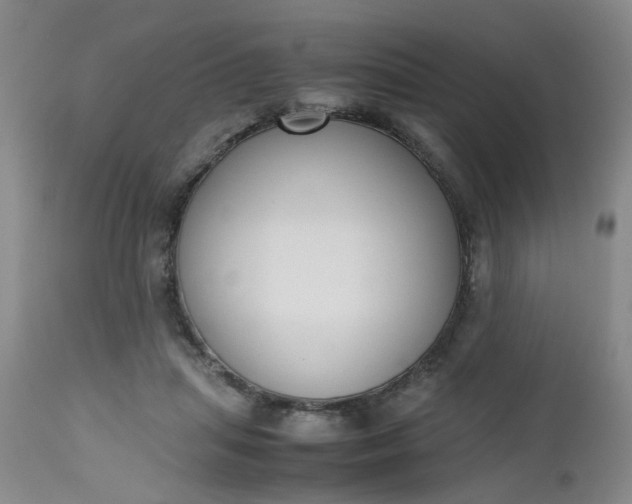 X0000112530455200908311426