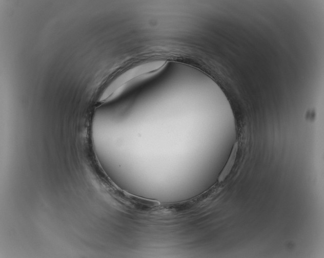 X0000112530456200908311426