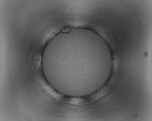 X0000112530458200908311426