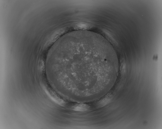 X0000112530459200908311426