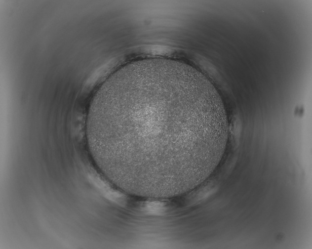 X0000112530462200908311426