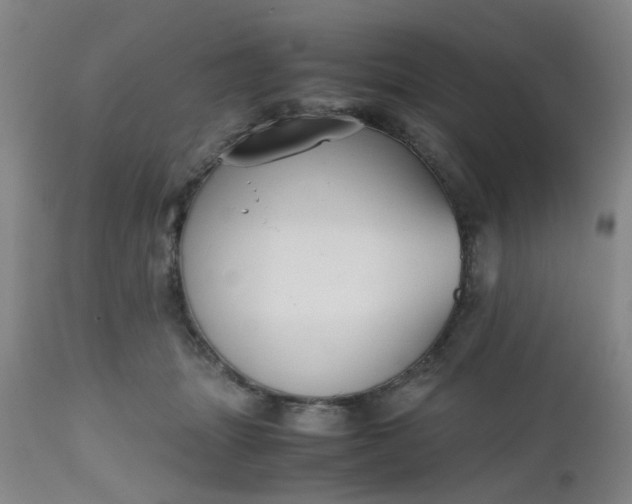 X0000112530463200908311426