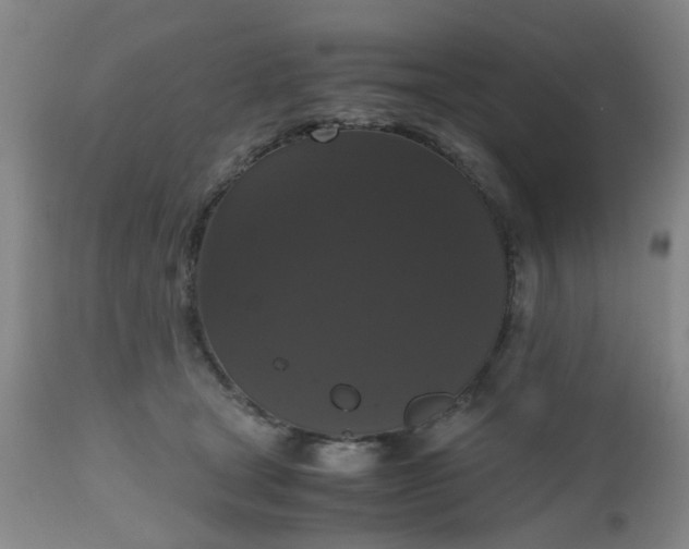 X0000112530465200908311426