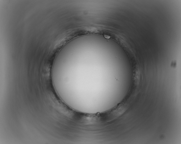 X0000112530466200908311426