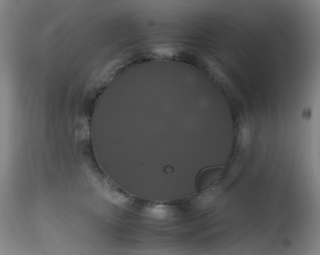 X0000112530467200908311426