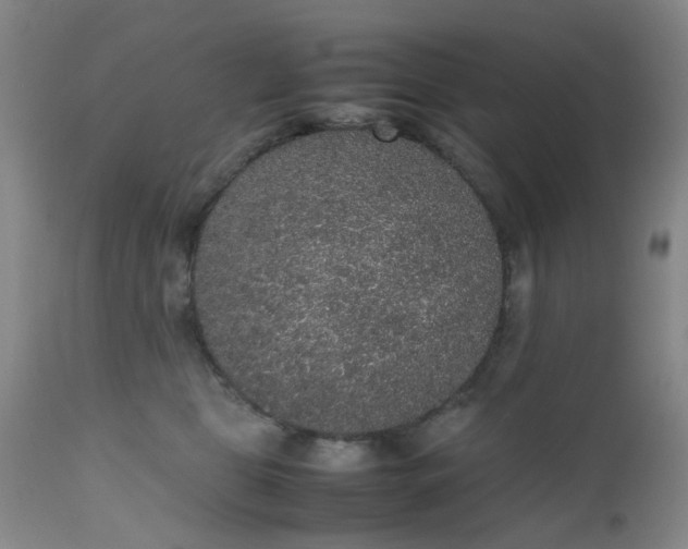 X0000112530469200908311426