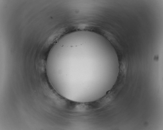 X0000112530470200908311426