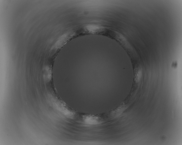 X0000112530471200908311426