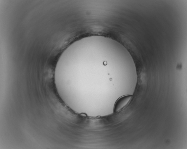X0000112530472200908311426