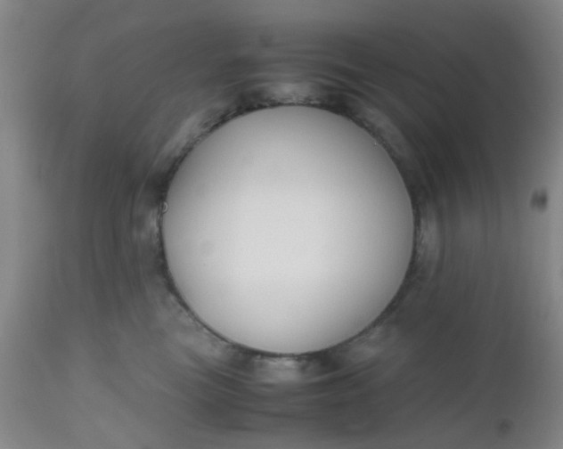X0000112530473200908311426