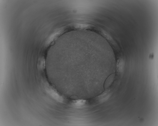 X0000112530474200908311426