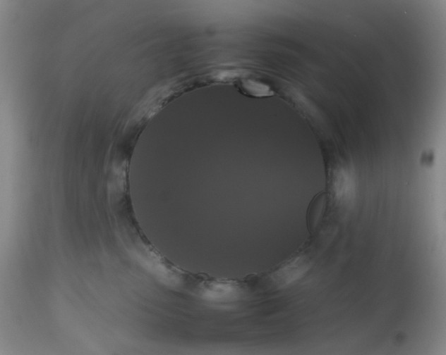 X0000112530475200908311427