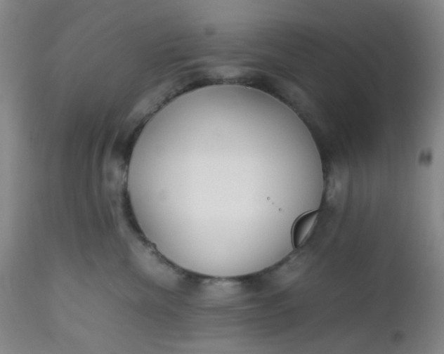 X0000112530476200908311427