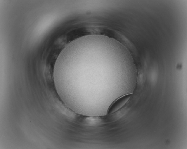 X0000112530477200908311427