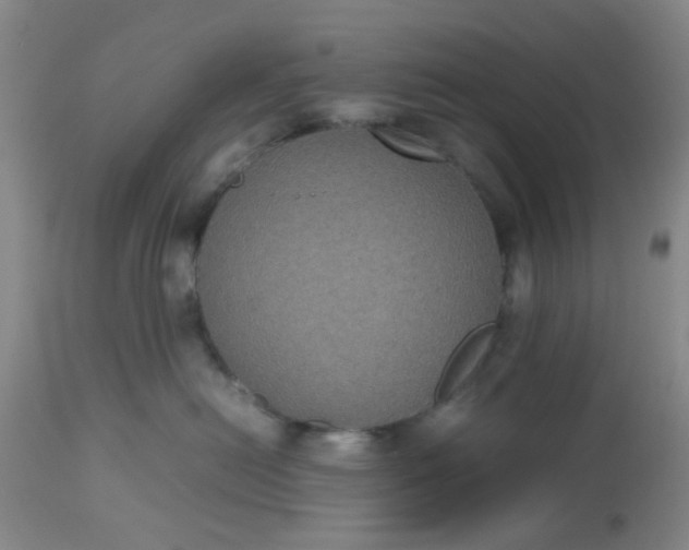 X0000112530478200908311427