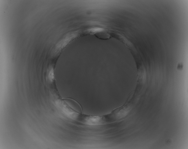 X0000112530479200908311427