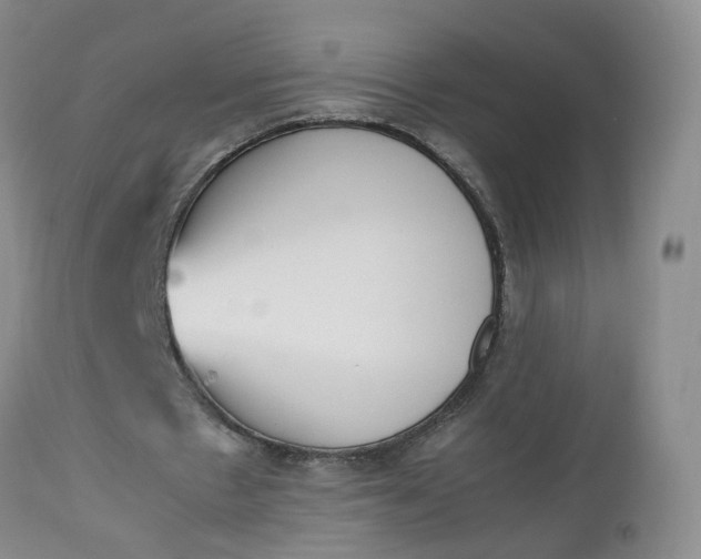 X0000112530481200908311426