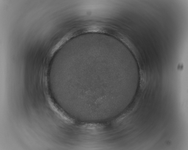 X0000112530482200908311426