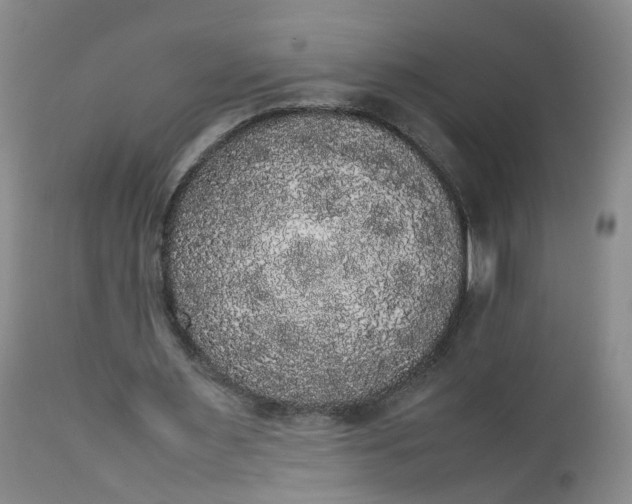 X0000112530483200908311426