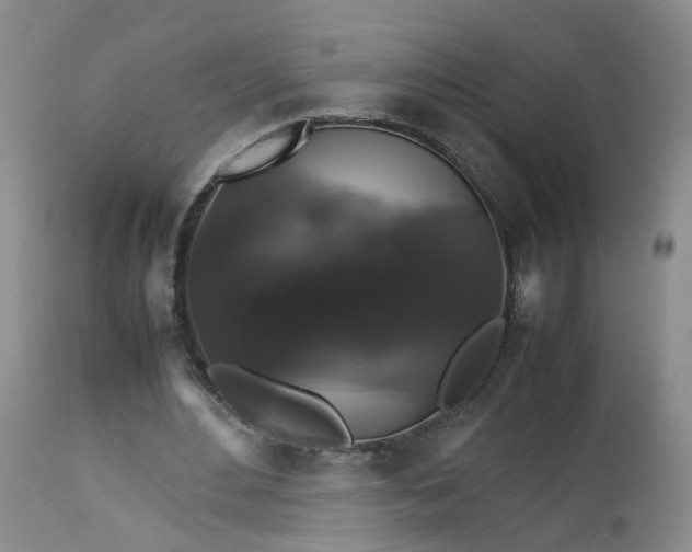 X0000112530484200908311426