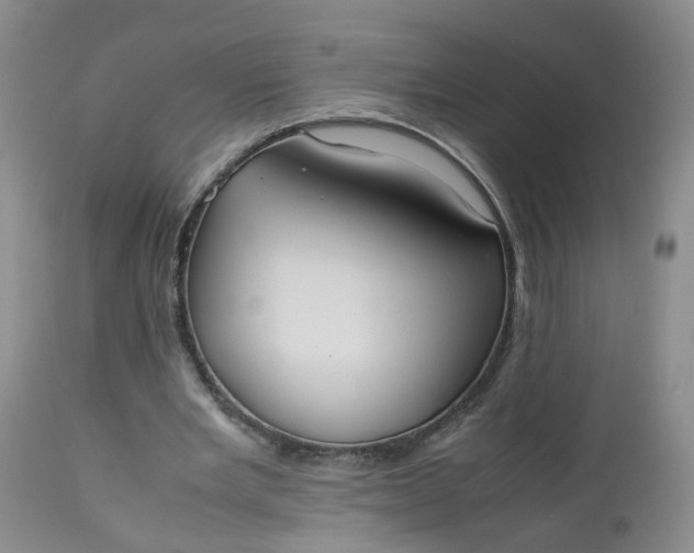 X0000112530485200908311426