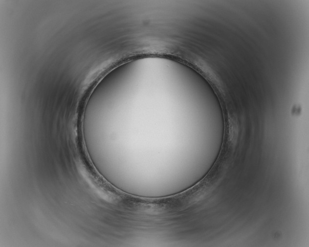 X0000112530486200908311426
