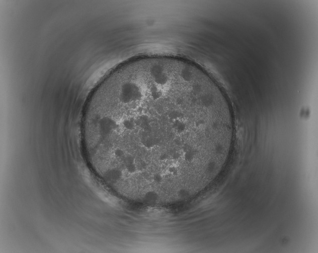 X0000112530487200908311426