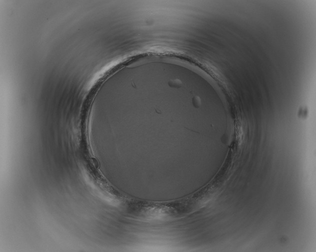 X0000112530488200908311426