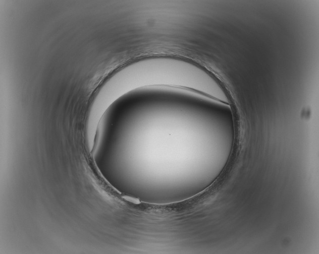 X0000112530489200908311426