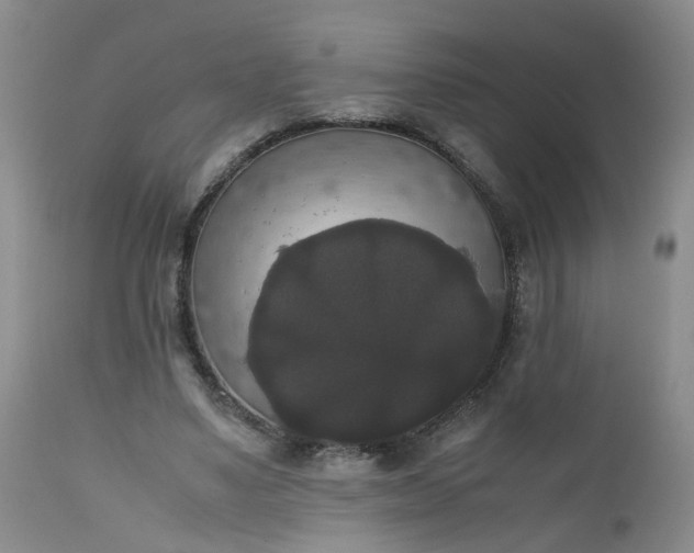 X0000112530491200908311426