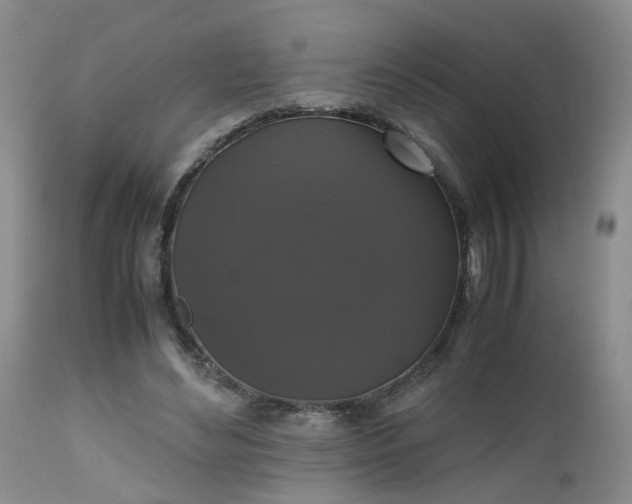 X0000112530492200908311426