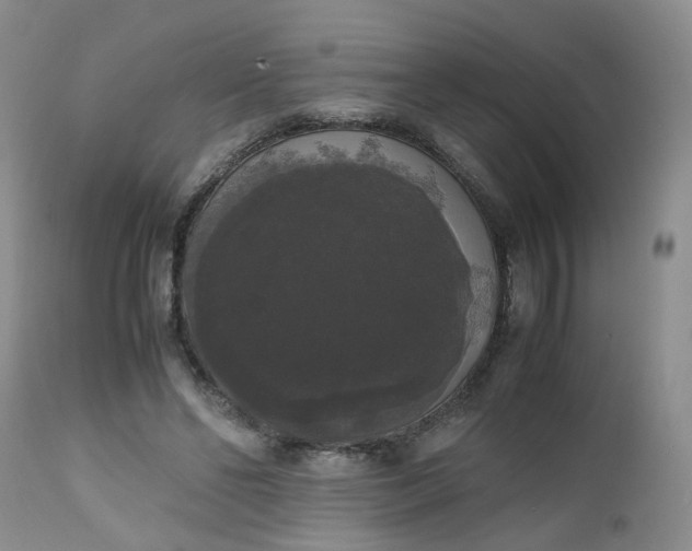 X0000112530494200908311426