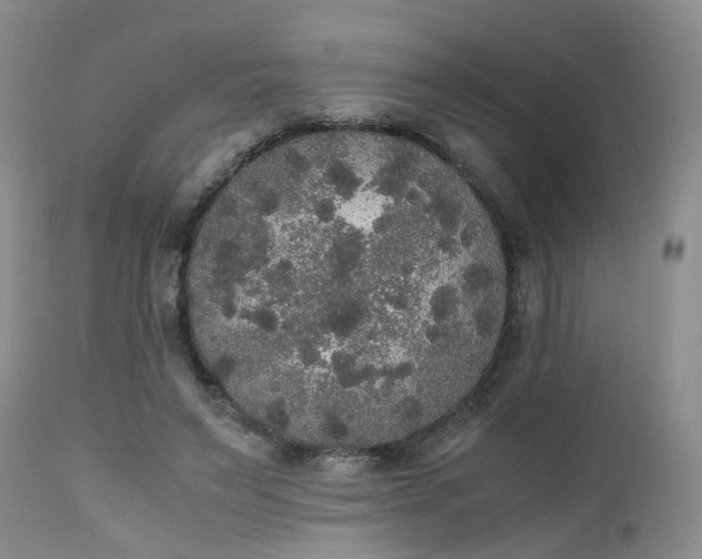 X0000112530495200908311426