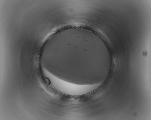 X0000112530496200908311426