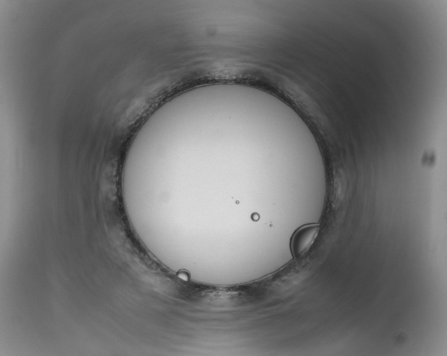 X0000112530497200908311426