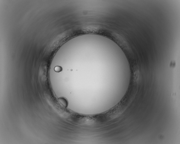 X0000112530498200908311426