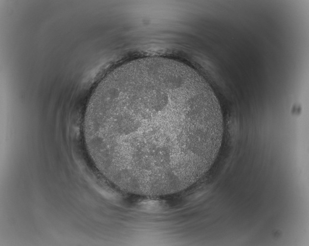 X0000112530499200908311425