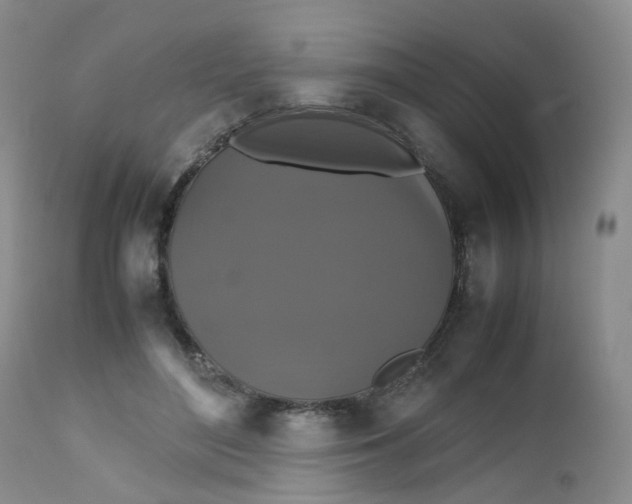 X0000112530500200908311425