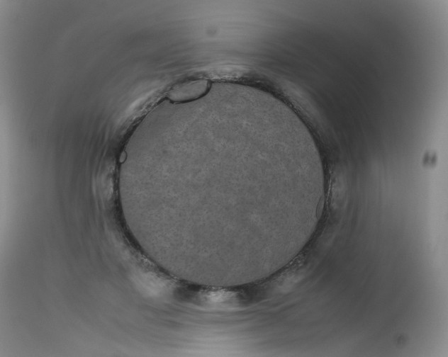 X0000112530501200908311425