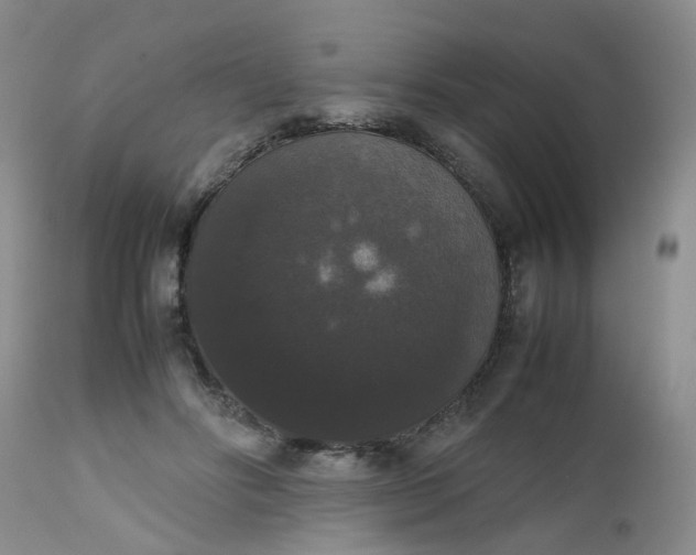 X0000112530502200908311425