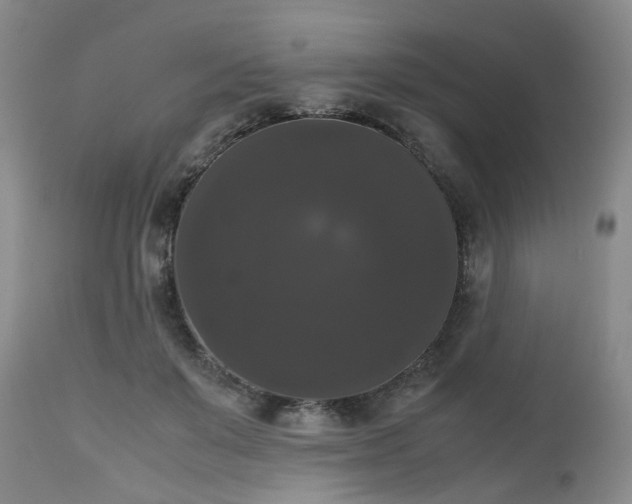 X0000112530503200908311425