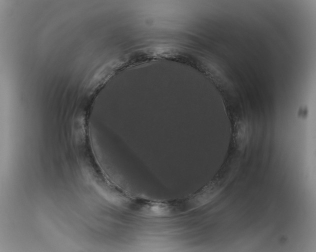 X0000112530506200908311425